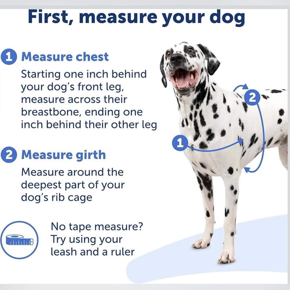 Dog Harness - Picture 7 of 8